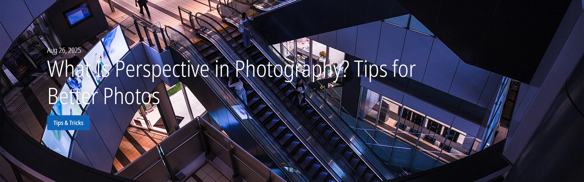 What Is Perspective in Photography? Tips for Better Photos