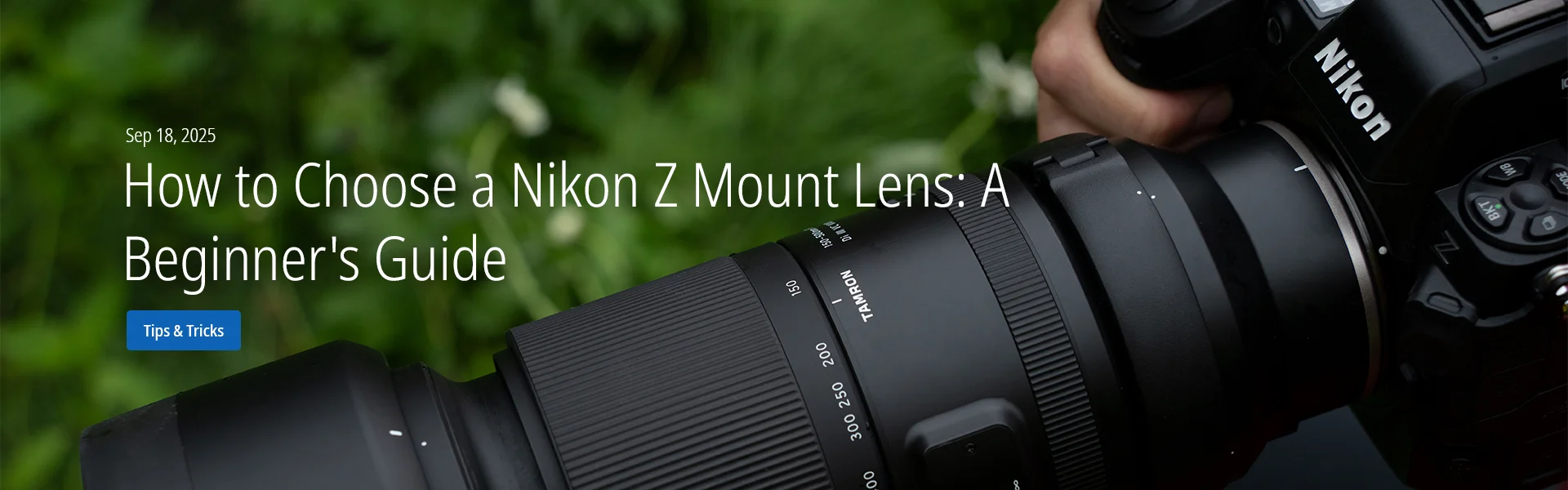 How to Choose a Nikon Z Mount Lens: A Beginner’s Guide