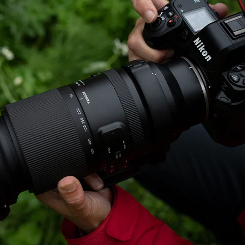 how to choose a nikon lens tips tricks thumbnail