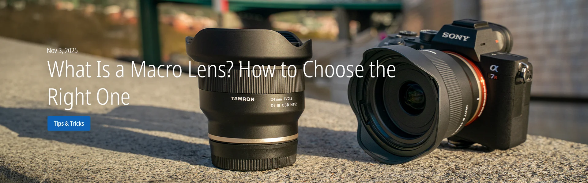 What Is a Macro Lens? How to Choose the Right One