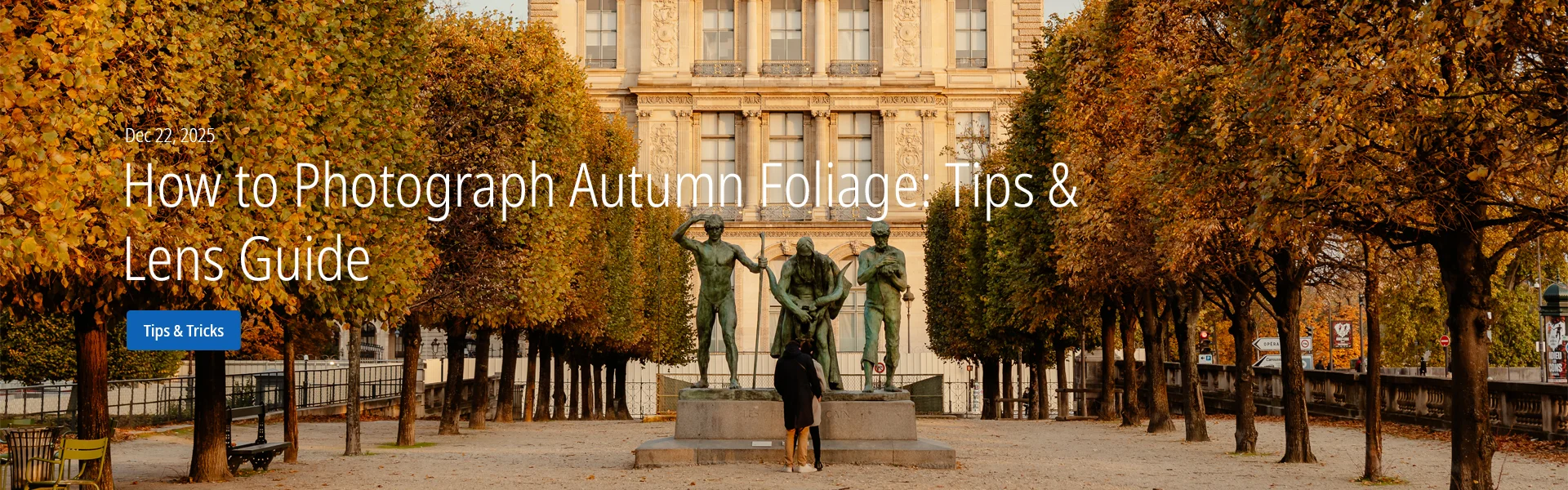 How to Photograph Autumn Foliage: Tips & Lens Guide
