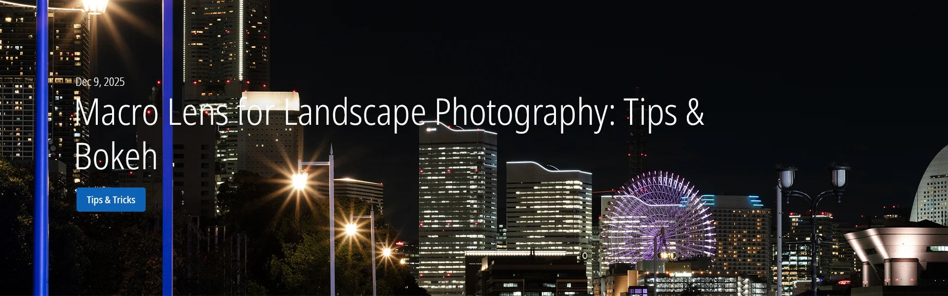 Macro Lens for Landscape Photography: Tips & Bokeh