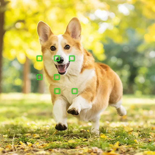 autofocused explained tips tricks thumbnail