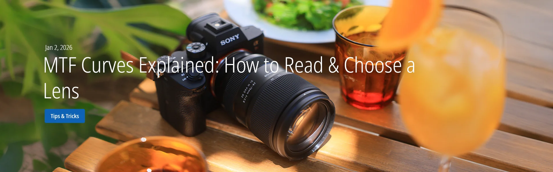 MTF Curves Explained: How to Read & Choose a Lens