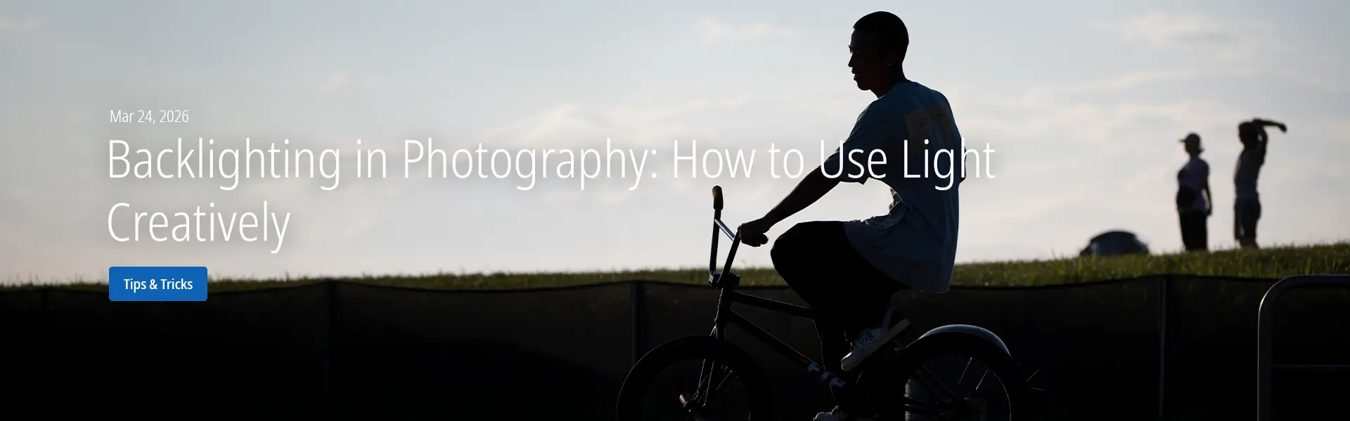 Backlighting in Photography: How to Use Light Creatively