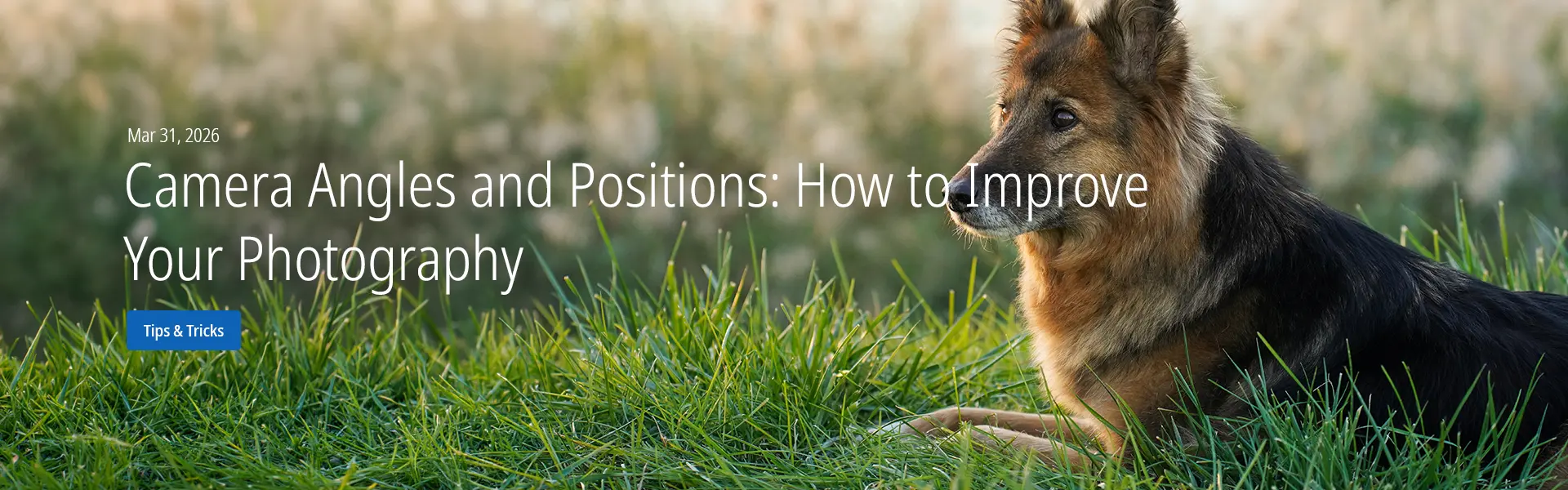 Camera Angles and Positions: How to Improve Your Photography