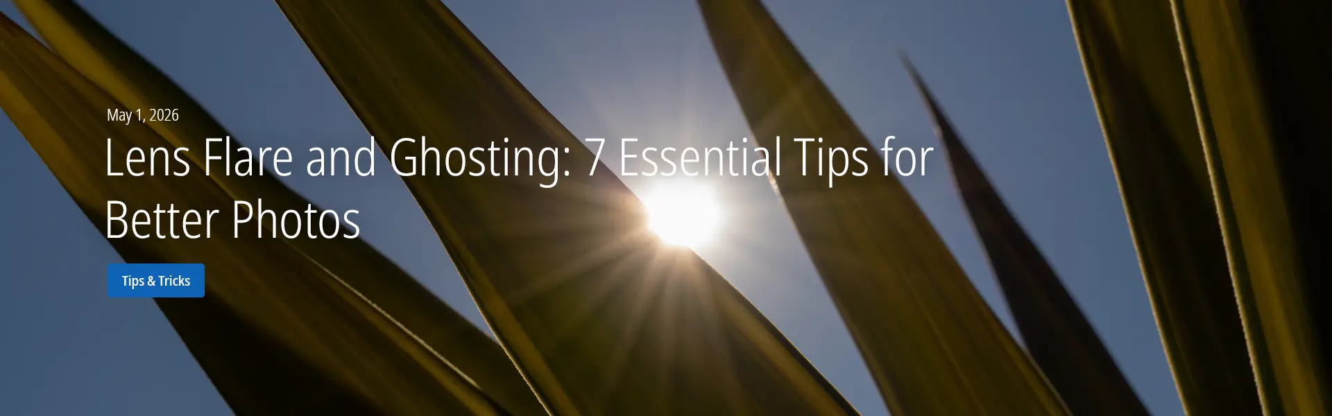 Lens Flare and Ghosting: 7 Essential Tips for Better Photos