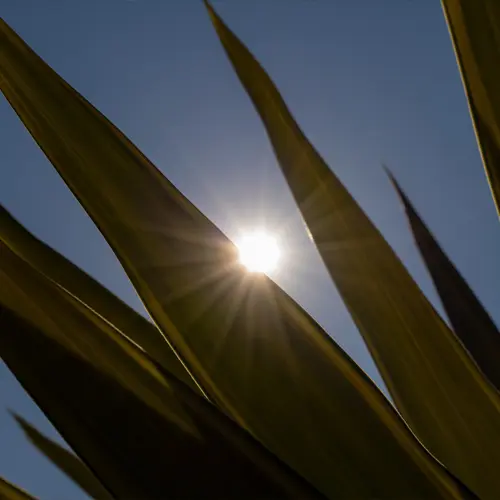 lens flare and ghosting tips tricks thumbnail