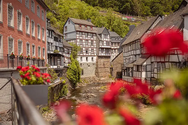 Traditional half-timbered village buildings with red flowers in the foreground