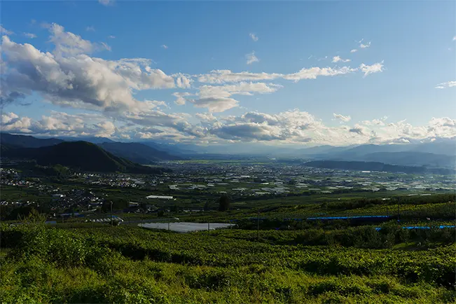 Wide mountain valley landscape with vineyards and dramatic clouds
