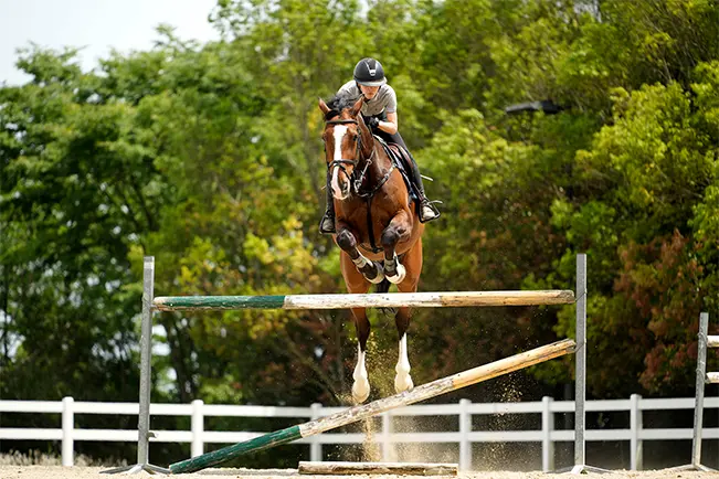 Equestrian rider and horse jumping over an obstacle