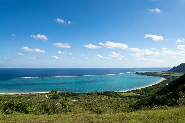 Turquoise coastal waters and a sandy beach viewed from a hillside