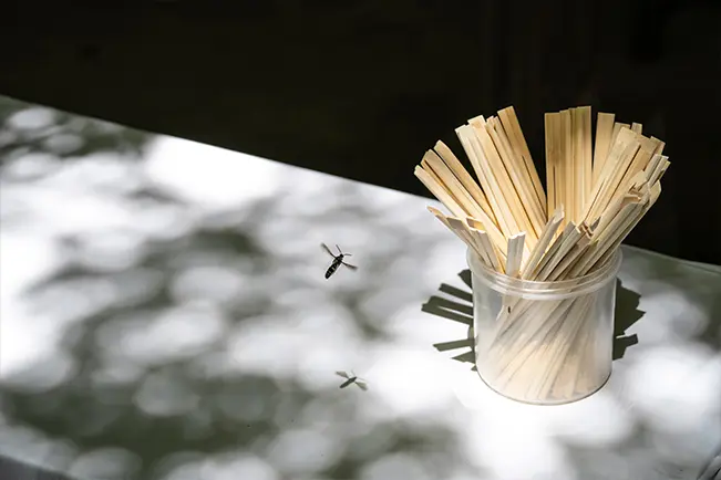 Traditional bamboo whisk and white flowers on a soft outdoor background