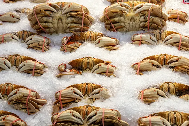 Crabs arranged on a surface