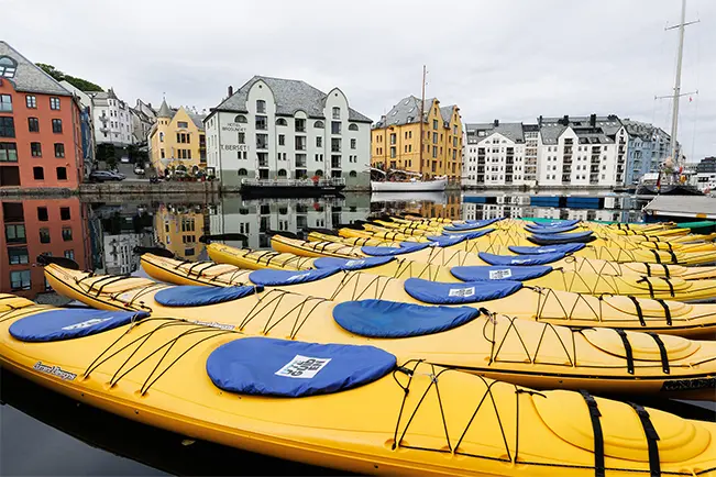 Kayaks lined up along the waterfront