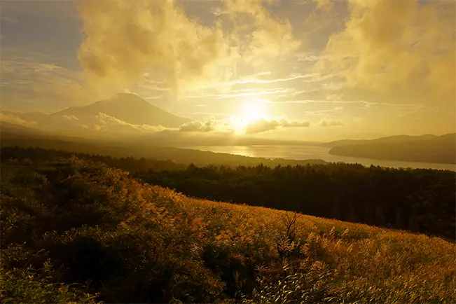 Sunset over a green landscape