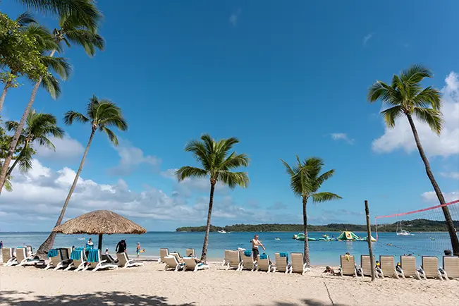 Tropical beach with palm trees